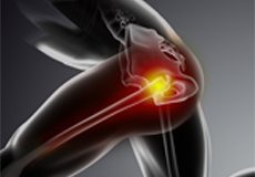 Physical Therapy for Hip